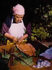 Sliammon Elder Mary George preparing salmon for a traditional Coast Salish Barbeque